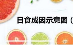 日食成因示意图（日食形成示意图）