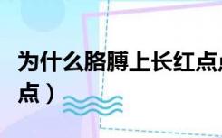 为什么胳膊上长红点点（为什么胳膊上有小红点）