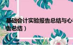 基础会计实验报告总结与心得体会300字（基础会计实验报告总结）