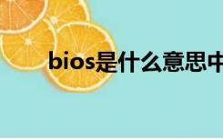 bios是什么意思中文（bios是什么）