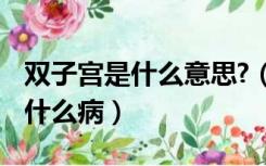 双子宫是什么意思?（什么是双子宫 双子宫是什么病）