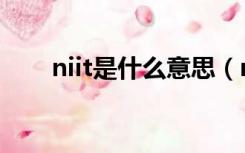 niit是什么意思（niit班是什么意思）