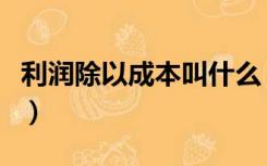 利润除以成本叫什么（利润除以成本是什么率）