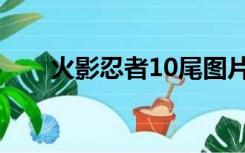 火影忍者10尾图片（火影忍者10尾）