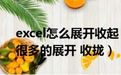 excel怎么展开收起（怎么在excel中设置出很多的展开 收拢）