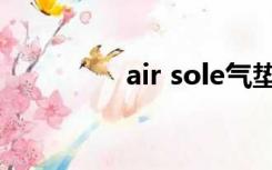 air sole气垫（air sole）