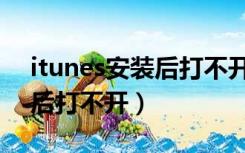 itunes安装后打不开怎么解决（itunes安装后打不开）