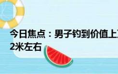 今日焦点：男子钓到价值上万元的马鲛鱼后放生：体长有2.2米左右