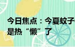 今日焦点：今夏蚊子都热死了?北京疾控回应:是热“懒”了