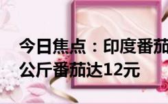 今日焦点：印度番茄价格暴涨给家庭加压 每公斤番茄达12元