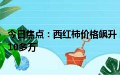 今日焦点：西红柿价格飙升 印度农民成百万富翁：有人日赚10多万