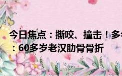 今日焦点：撕咬、撞击！多名游客在日本近海岸遭海豚袭击：60多岁老汉肋骨骨折