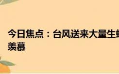 今日焦点：台风送来大量生蚝海鲜 市民拎麻袋装，网友直呼羡慕