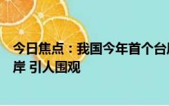 今日焦点：我国今年首个台风“泰利”登陆：鲸鱼都被冲上岸 引人围观