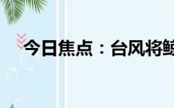 今日焦点：台风将鲸鱼冲上岸?官方回应