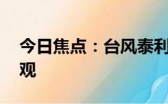 今日焦点：台风泰利登陆:鲸鱼被冲上岸引围观