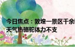 今日焦点：敦煌一景区千余骆驼罢工?景区回应：客流量大、天气热骆驼体力不支