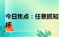 今日焦点：任意抓知了破坏生态?专家:不会破坏