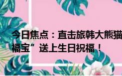 今日焦点：直击旅韩大熊猫福宝3岁生日派对，为大熊猫“福宝”送上生日祝福！