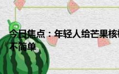 今日焦点：年轻人给芒果核梳毛被指不务正业：养芒果核并不简单