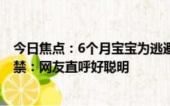 今日焦点：6个月宝宝为逃避抽血顽强装睡 画面令人忍俊不禁：网友直呼好聪明