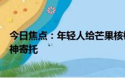 今日焦点：年轻人给芒果核梳毛被指不务正业：这是一种精神寄托