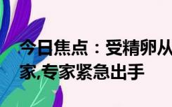 今日焦点：受精卵从子宫出逃 在女子直肠安家,专家紧急出手