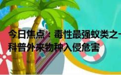 今日焦点：毒性最强蚁类之一！青岛海关截获剪齿牛蚁 专家科普外来物种入侵危害