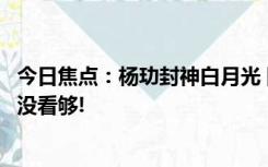 今日焦点：杨玏封神白月光 网友直呼：这次的表演真是完全没看够!