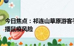 今日焦点：祁连山草原游客手抓鼠兔拍照 网友担心有感染传播鼠疫风险