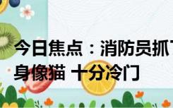 今日焦点：消防员抓了只“大耗子”：头像鼠身像猫 十分冷门