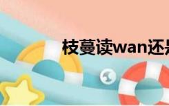 枝蔓读wan还是man（枝蔓）