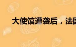 大使馆遭袭后，法国宣布从尼日尔撤侨