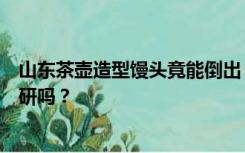 山东茶壶造型馒头竟能倒出“茶水”，网友惊呼：是在搞科研吗？