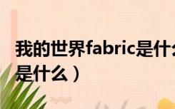 我的世界fabric是什么意思（我的世界Fabric是什么）