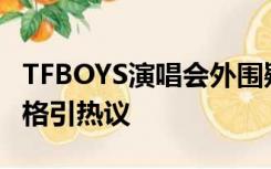 TFBOYS演唱会外围疑围钢板安刺尖，措施严格引热议