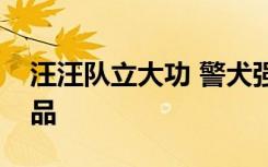 汪汪队立大功 警犬强拽着民警找到密林中毒品