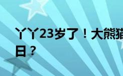 丫丫23岁了！大熊猫为何夏季“扎堆”过生日？