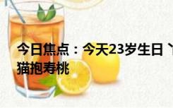 今日焦点：今天23岁生日 丫丫干饭名场面来了：蛋糕是熊猫抱寿桃