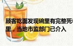 顾客吃面发现碗里有完整死老鼠，店长称是从屋顶上掉进碗里，当地市监部门已介入