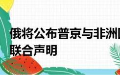 俄将公布普京与非洲国家领导人就乌克兰局势联合声明