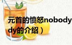 元首的愤怒nobody（关于元首的愤怒nobody的介绍）