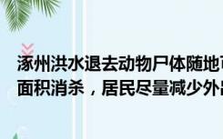 涿州洪水退去动物尸体随地可见，涿州疾控：城区将进行大面积消杀，居民尽量减少外出