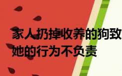 家人扔掉收养的狗致女子被公司解雇，公司：她的行为不负责