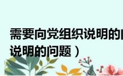 需要向党组织说明的问题模板（需要向党组织说明的问题）