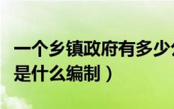 一个乡镇政府有多少公务员编制（乡镇公务员是什么编制）