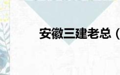 安徽三建老总（安徽三本院校）