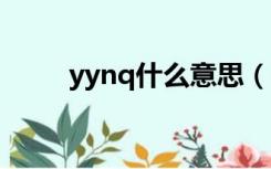 yynq什么意思（YYQ是什么意思）