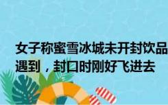 女子称蜜雪冰城未开封饮品现蜻蜓，店员：工作5年第一次遇到，封口时刚好飞进去