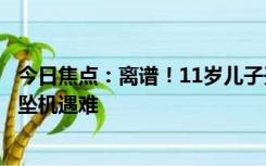 今日焦点：离谱！11岁儿子开飞机、父亲坐副驾饮酒：双双坠机遇难